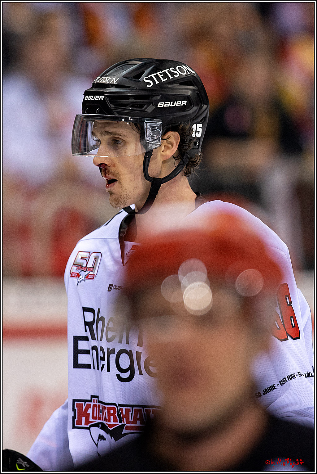 PENNY DEL;  Düsseldorfer EG - Kölner Haie; Düsseldorf, 28.10.2022